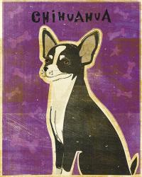 Chihuahua (black and white) | Obraz na stenu