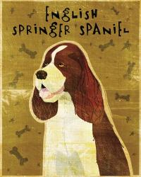 English Springer Spaniel | Obraz na stenu