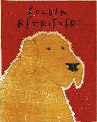 Golden Retriever | Obraz na stenu