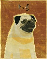Pug | Obraz na stenu