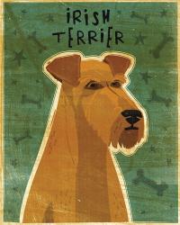 Irish Terrier | Obraz na stenu