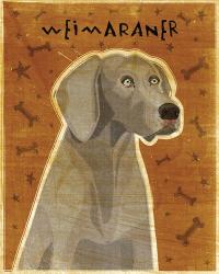 Weimaraner | Obraz na stenu