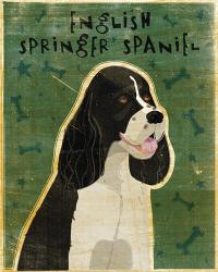 English Springer Spaniel (black and white) | Obraz na stenu