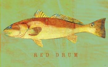 Red Drum | Obraz na stenu