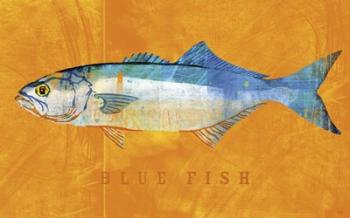 Bluefish | Obraz na stenu