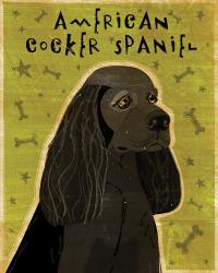 American Cocker Spaniel (black) | Obraz na stenu