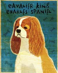 Cavalier King Charles (Blenheim) | Obraz na stenu