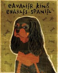 Cavalier King Charles (black and tan) | Obraz na stenu