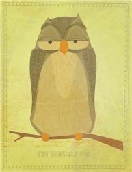 The Sensible Owl | Obraz na stenu