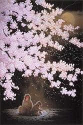 Falling Cherry Blossoms | Obraz na stenu