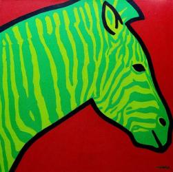 Irish Zebra | Obraz na stenu