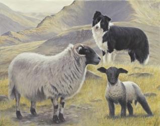 Tending the Sheep | Obraz na stenu