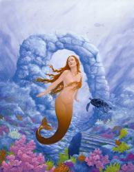 Mermaid and Turtle 1 | Obraz na stenu
