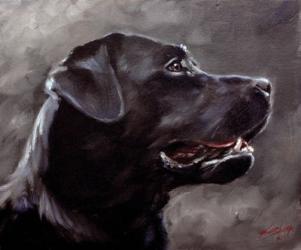 Black Lab 5 | Obraz na stenu