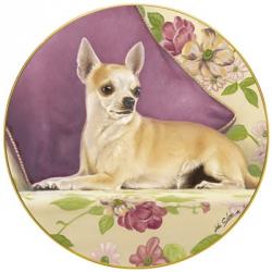 Chihuahua With Pillow | Obraz na stenu