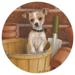 Chihuahua In Basket | Obraz na stenu