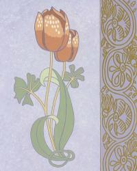 Rose Tulip With Right Border | Obraz na stenu