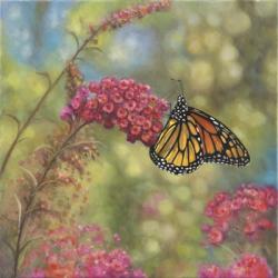 Monarch Butterfly | Obraz na stenu