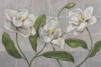 White Magnolia | Obraz na stenu