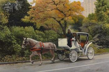Carriage At Central Park | Obraz na stenu