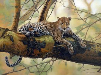 African Leopard | Obraz na stenu