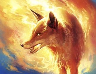 Fire Fox | Obraz na stenu