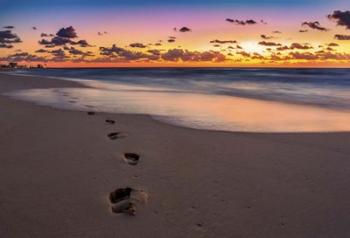 Footsteps At Sunrise | Obraz na stenu