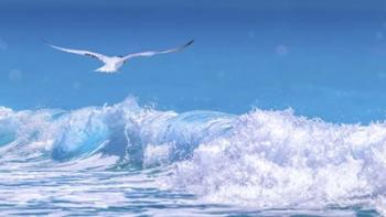 Gull In The Waves | Obraz na stenu