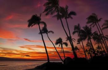 Maui Sunset | Obraz na stenu