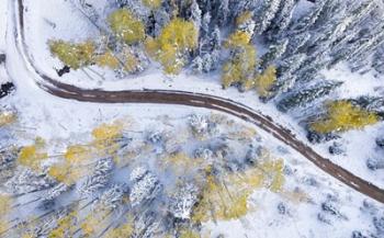 Snowmass Road | Obraz na stenu