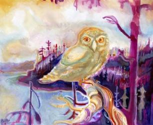 Owl Prince of Tofino | Obraz na stenu