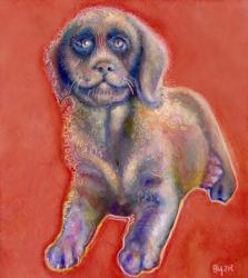 Labrador Puppy | Obraz na stenu