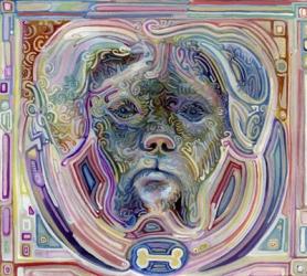 Transdimensional Dog | Obraz na stenu