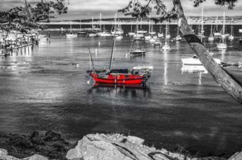 Red Boat Monterey | Obraz na stenu
