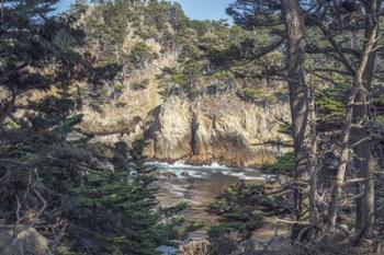 Pines and Coast Point Lobos | Obraz na stenu
