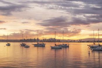 Magical Morning Hues In San Diego | Obraz na stenu