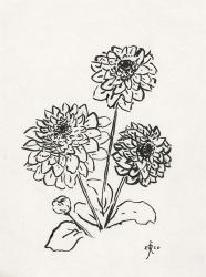 Floral Ink Study V | Obraz na stenu