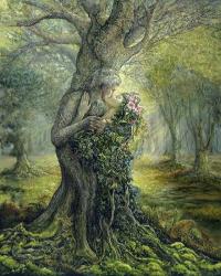 Dryad And The Tree Spirit | Obraz na stenu