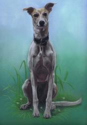 Lurcher Jaeger | Obraz na stenu