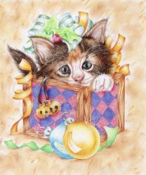 Christmas Box Kitten | Obraz na stenu