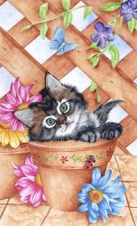 Trellis Kitty | Obraz na stenu
