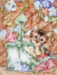 Playful Kitten | Obraz na stenu