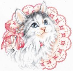 Lacey Kitten | Obraz na stenu