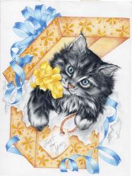 Giftbox Kitten | Obraz na stenu