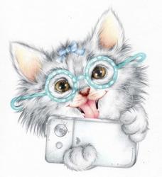 Selfie Kitten | Obraz na stenu