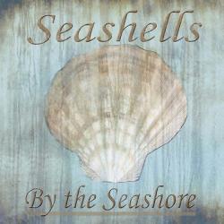 Seashells by the Seashore II | Obraz na stenu