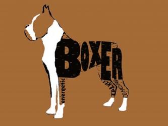 Boxer Word 2 | Obraz na stenu