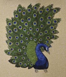 Peacock Stitched | Obraz na stenu