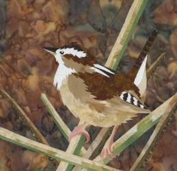 Marsh Wren | Obraz na stenu