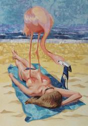 Flamingo On Sun Bather | Obraz na stenu